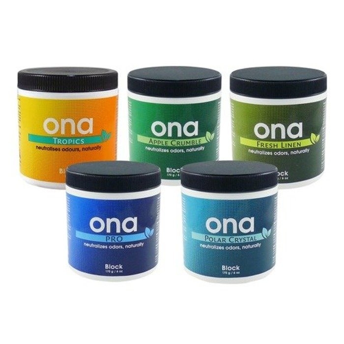 ONA BLOK FRESH 170G