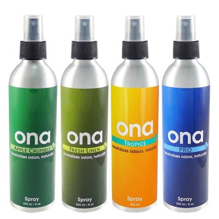 ONA SPRAY FRESH                 250ML