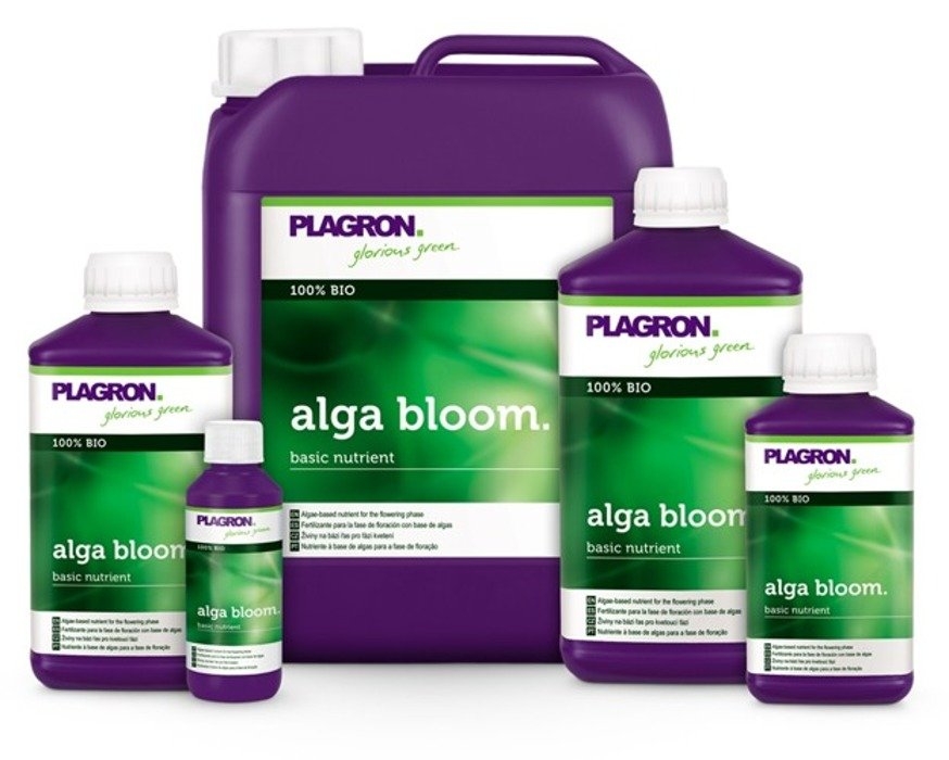 PLAGRON ALGA BLOOM 1L