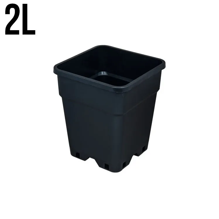 DONICZKA KWADRATOWA 2L VF (13*13*H17)