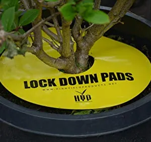 PUŁAPKA OWADOBÓJCZA LOCK DOWN PADS 15*15CM 8SZ