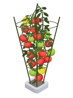 PLANT SUPPORT 50CM