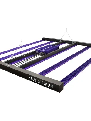 LUMATEK ZEUS 600W LED 2.6