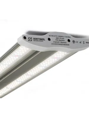 LAMPA  HORTIMOL TLED 60W