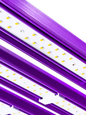 LUMATEK ATS 300W PRO LED