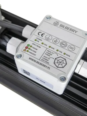 BILBERRY LED 160W