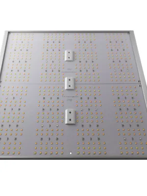 CALUMA FORCE LED 320W