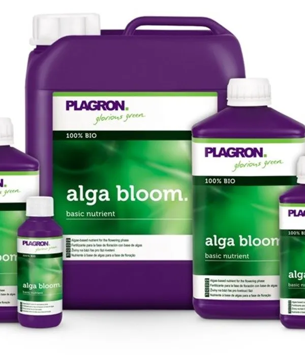 Produkt PLAGRON ALGA BLOOM 500ML Obraz