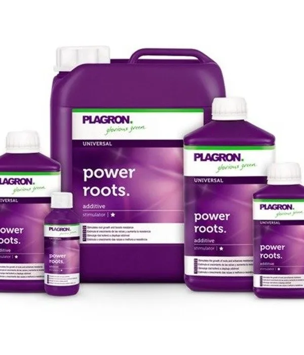 Produkt PLAGRON POWER ROOTS 250ML Obraz
