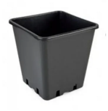 Produkt DONICZKA KWADRATOWA 11L  (25*25*H26) Obraz