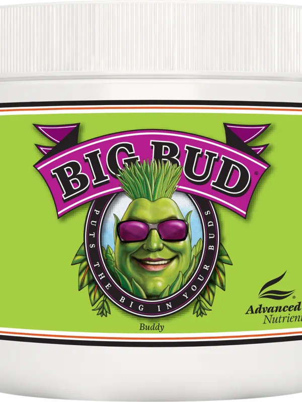 Produkt ADVANCED NUTRIENTS BIG BUD PROSZEK 130GR Obraz