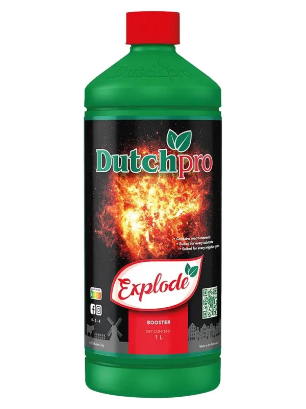 Produkt DUTCHPRO EXPLODE 1L Obraz