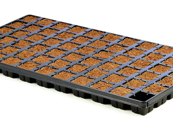 Produkt EAZY PLUG TACA 66 Obraz