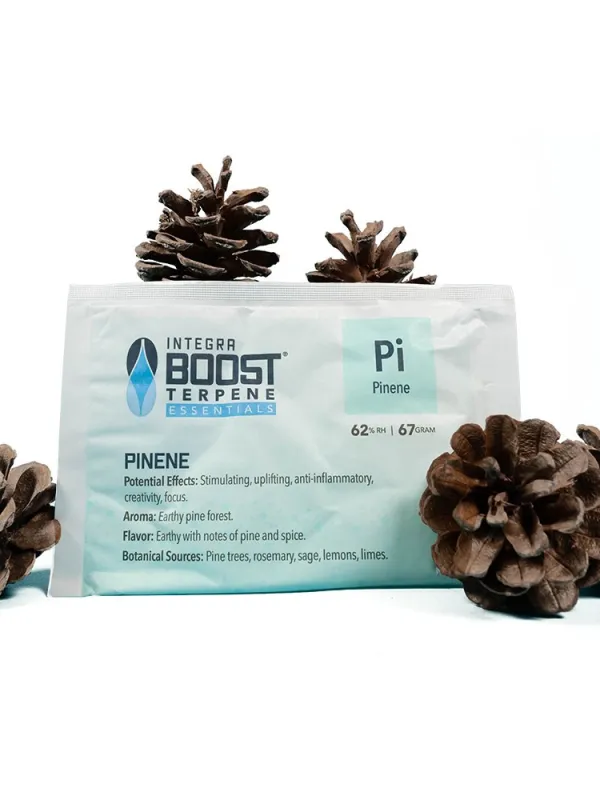 Produkt INTEGRA BOOST TERPENY PINENE 67G 62% Obraz