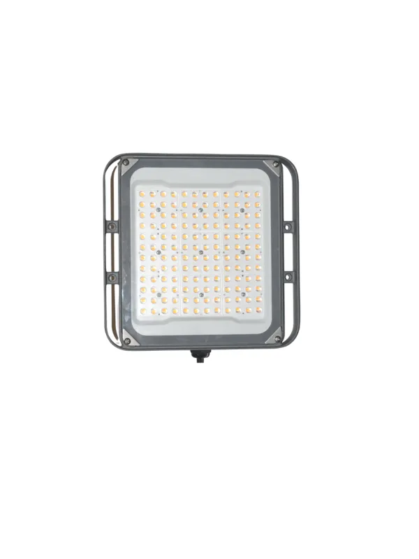Produkt PERFANDLED HORTI 2 SQ 100W Obraz