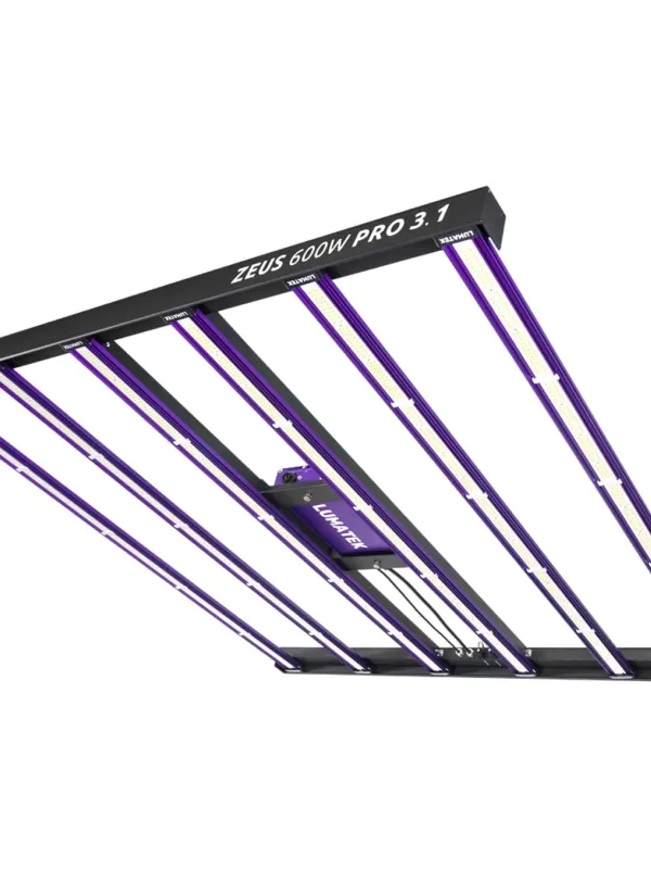 Produkt LUMATEK ZEUS 600W PRO 3.1 LED Obraz