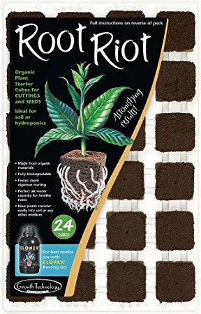 Produkt ROOT RIOT 77 TACA Obraz