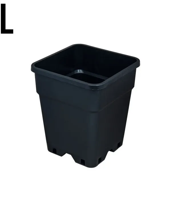 Produkt DONICZKA KWADRATOWA 2L VF (13*13*H17) Obraz