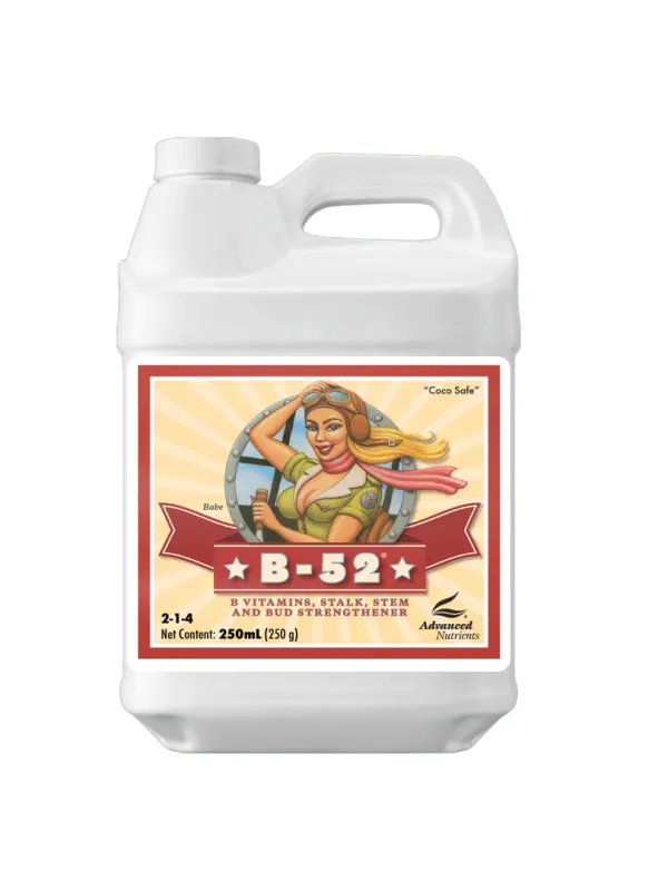 Produkt ADVANCED NUTRIENTS B-52 250ML Obraz