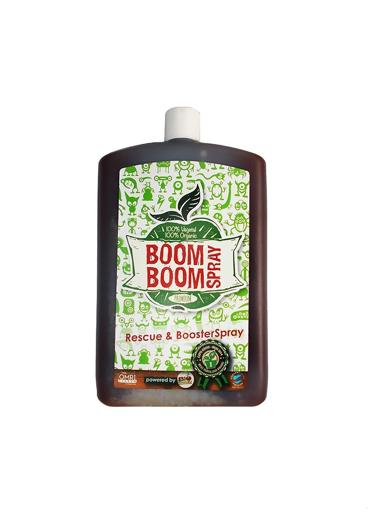 BIOTABS BOOMBOOMSPRAY 250ML