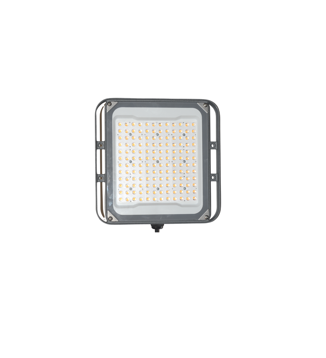 PERFANDLED HORTI 2 SQ 100W