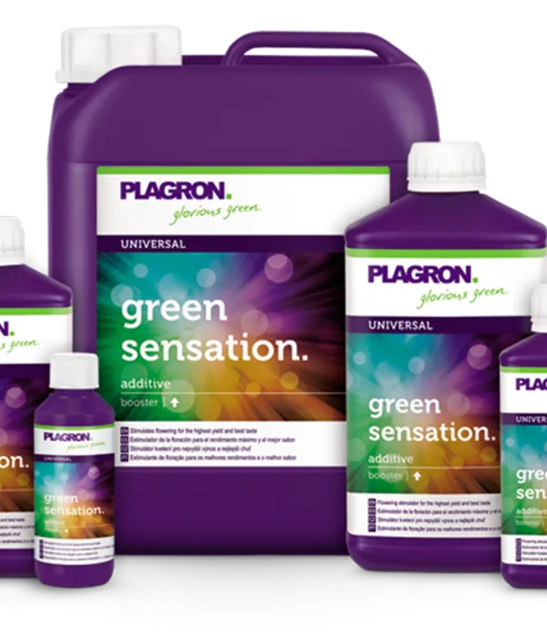 Produkt PLAGRON GREEN SENSATION 5L Obraz