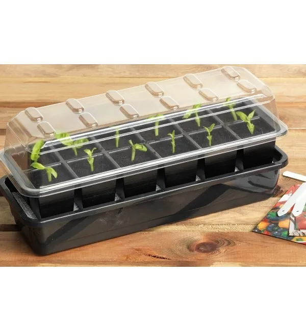 Produkt GARLAND SZKLARENKA/PROPAGATOR 12 SADZONEK Obraz