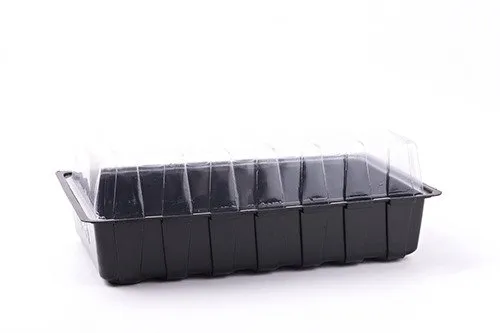 Produkt MINISZKLARENKA 36x22x13CM Obraz