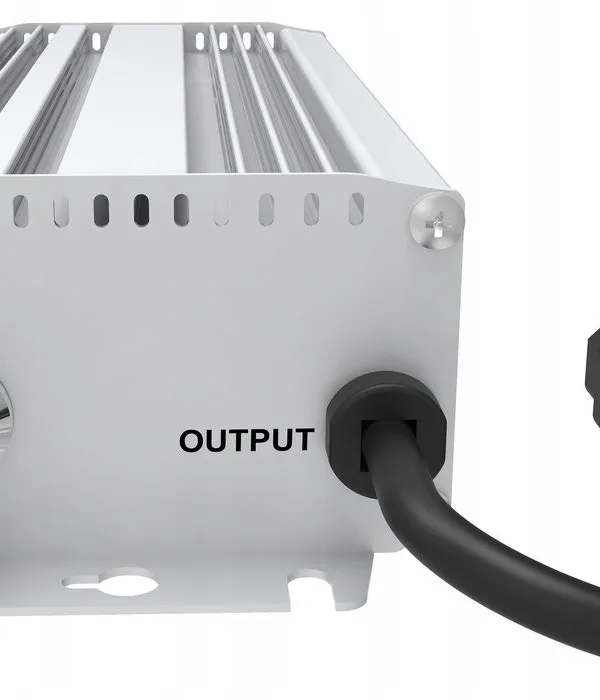 Produkt ZASILACZ FORTIS MASTER 600W + KABEL 3M Obraz