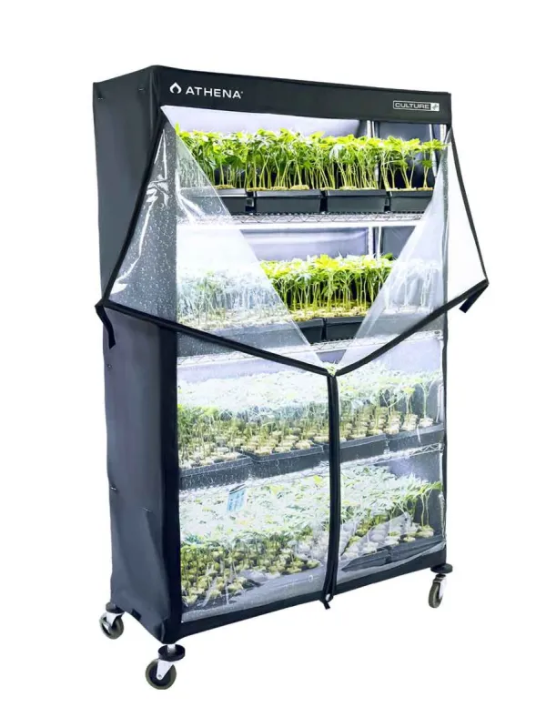 Produkt ATHENA VPDOME Obraz